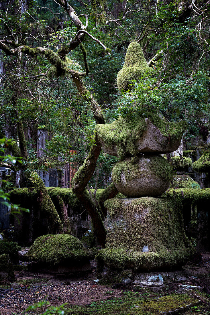 Blick auf moosigen Grabstein im Friedhof Okunoin, Okuno-in, Koyasan, Koya, Ito District, Wakayama, Japan