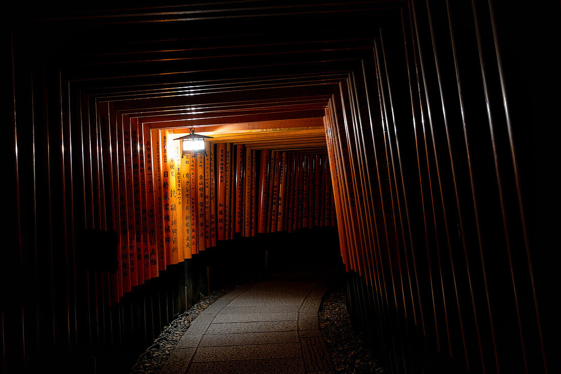 Torii gate at Fushimi Inari Jinja, Shinto shrine, UNESCO World Heritage Site, Kyoto, Honshu, Japan, Asia