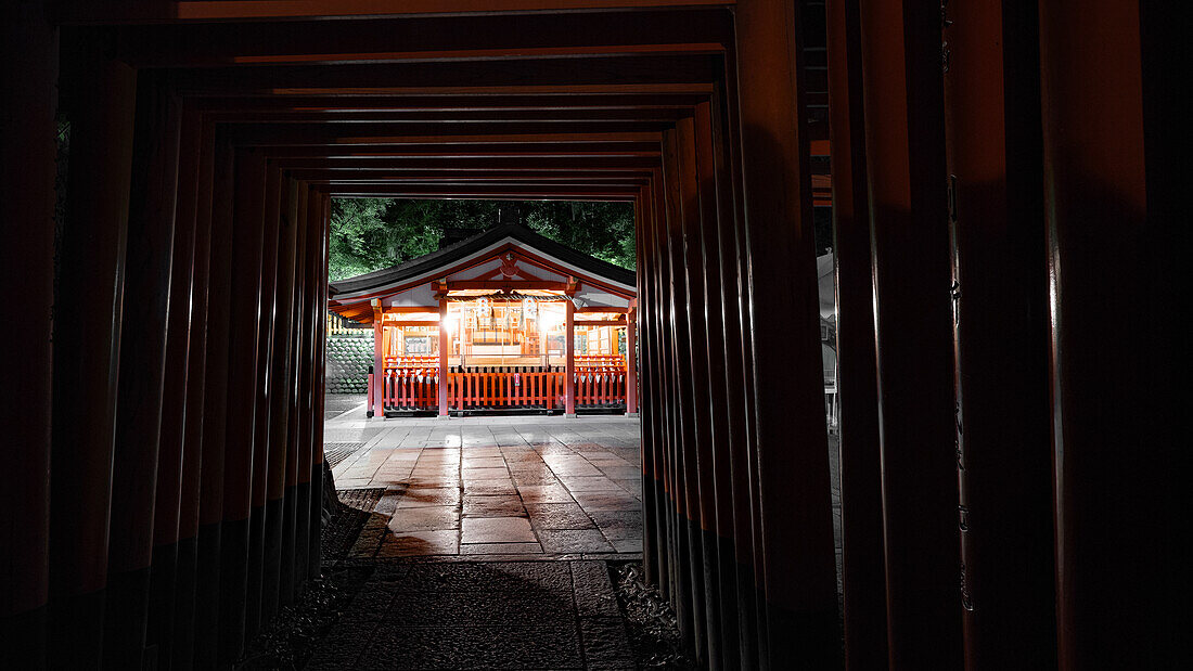 Torii-Tor bei Fushimi Inari Jinja, Shinto-Schrein, UNESCO-Weltkulturerbe, Kyoto, Honshu, Japan, Asien