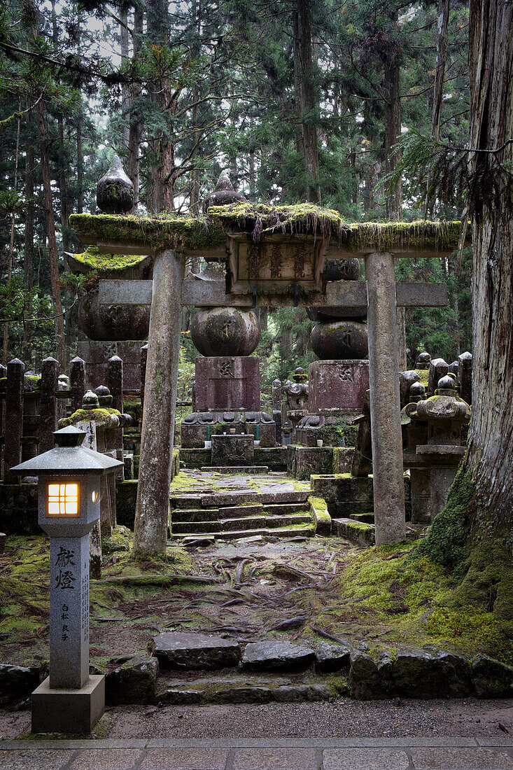 View of a torii with moss in Okunoin Cemetery, Okuno-in, Koyasan, Koya, Ito District, Wakayama, Japan