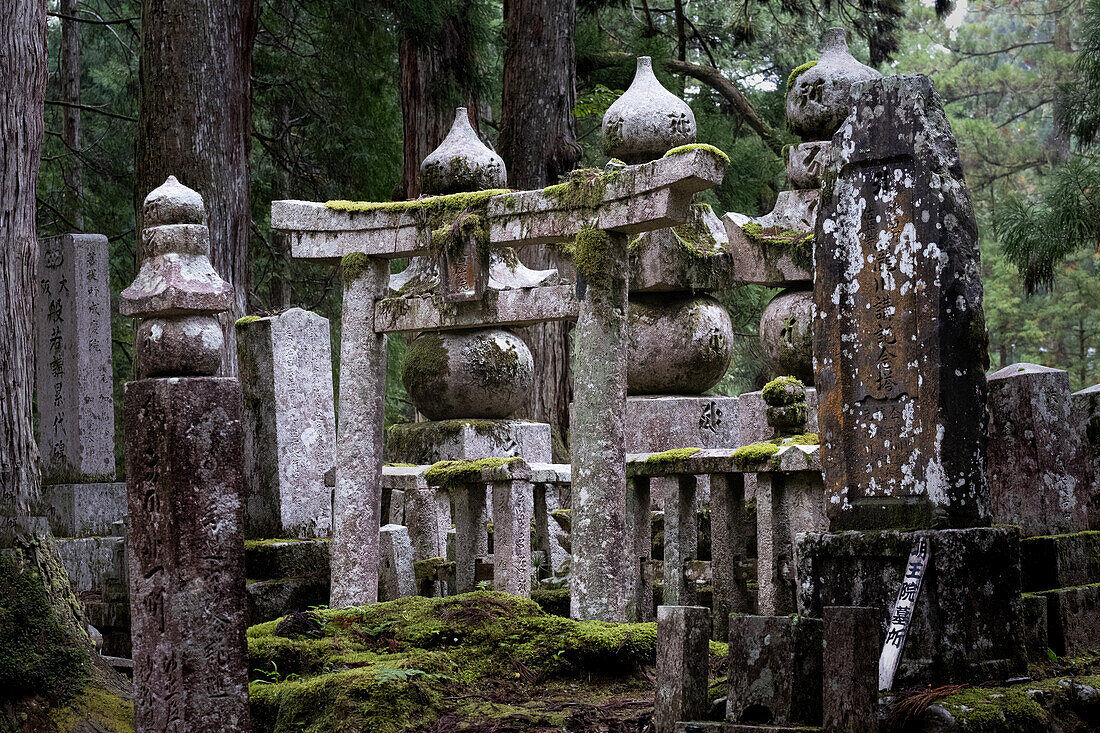 Blick auf ein torii mit Moos im Friedhof Okunoin, Okuno-in, Koyasan, Koya, Ito District, Wakayama, Japan