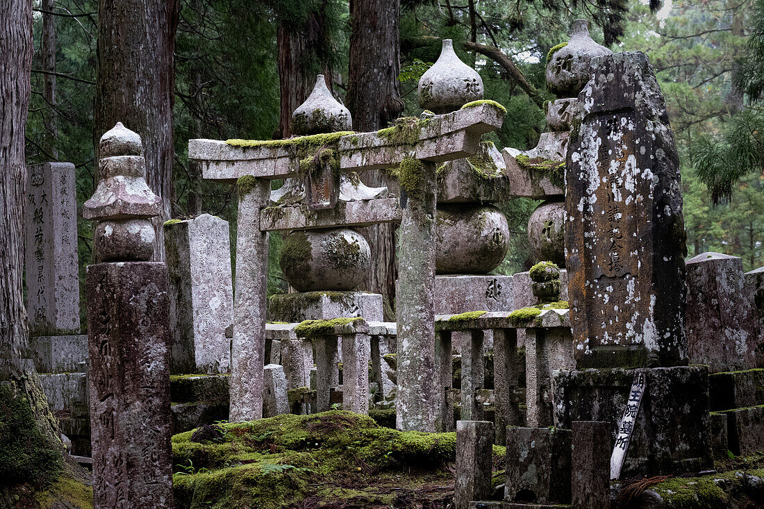 View of a torii with moss in Okunoin Cemetery, Okuno-in, Koyasan, Koya, Ito District, Wakayama, Japan