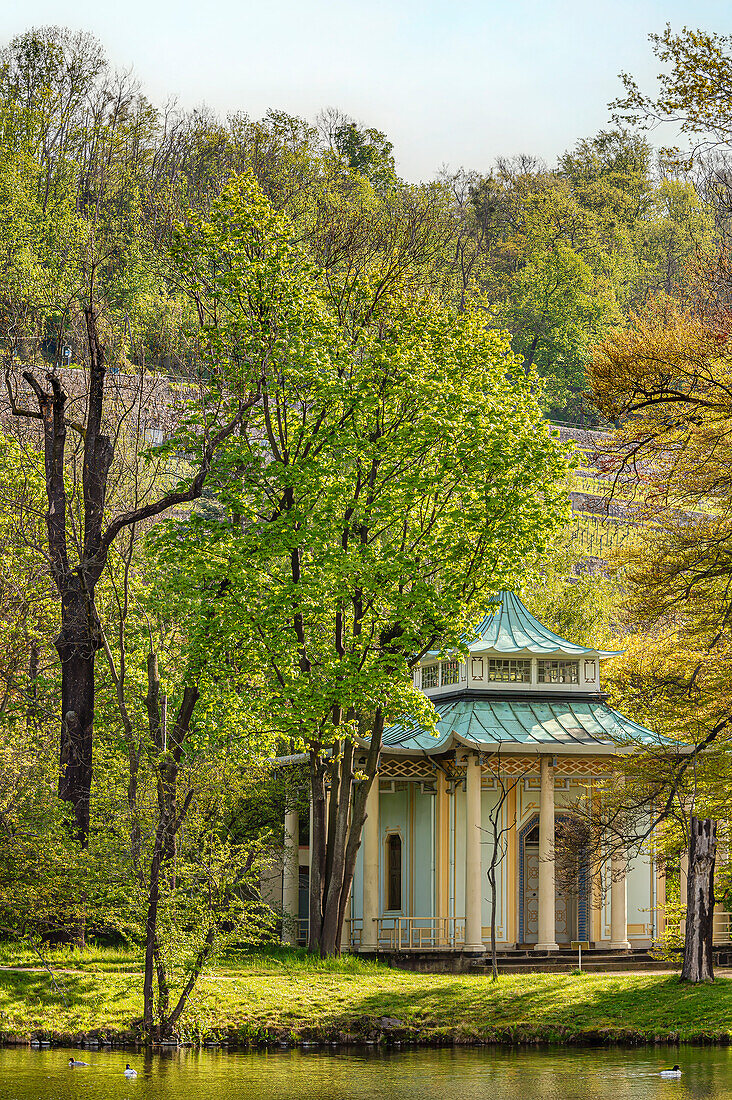 English pavilion in Pillnitz Castle Park in Dresden, Saxony, Germany in spring