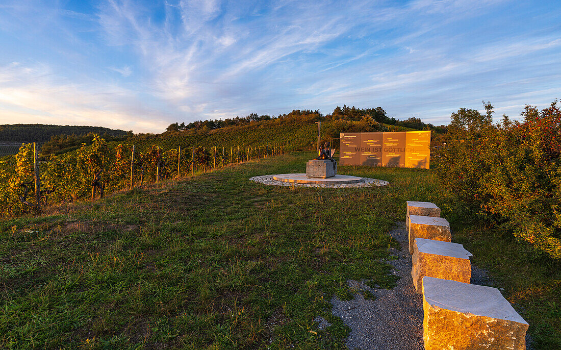 Vineyards and terroir f near Thüngersheim am Main in the evening light, Main-Spessart district, Lower Franconia, Bavaria, Germany