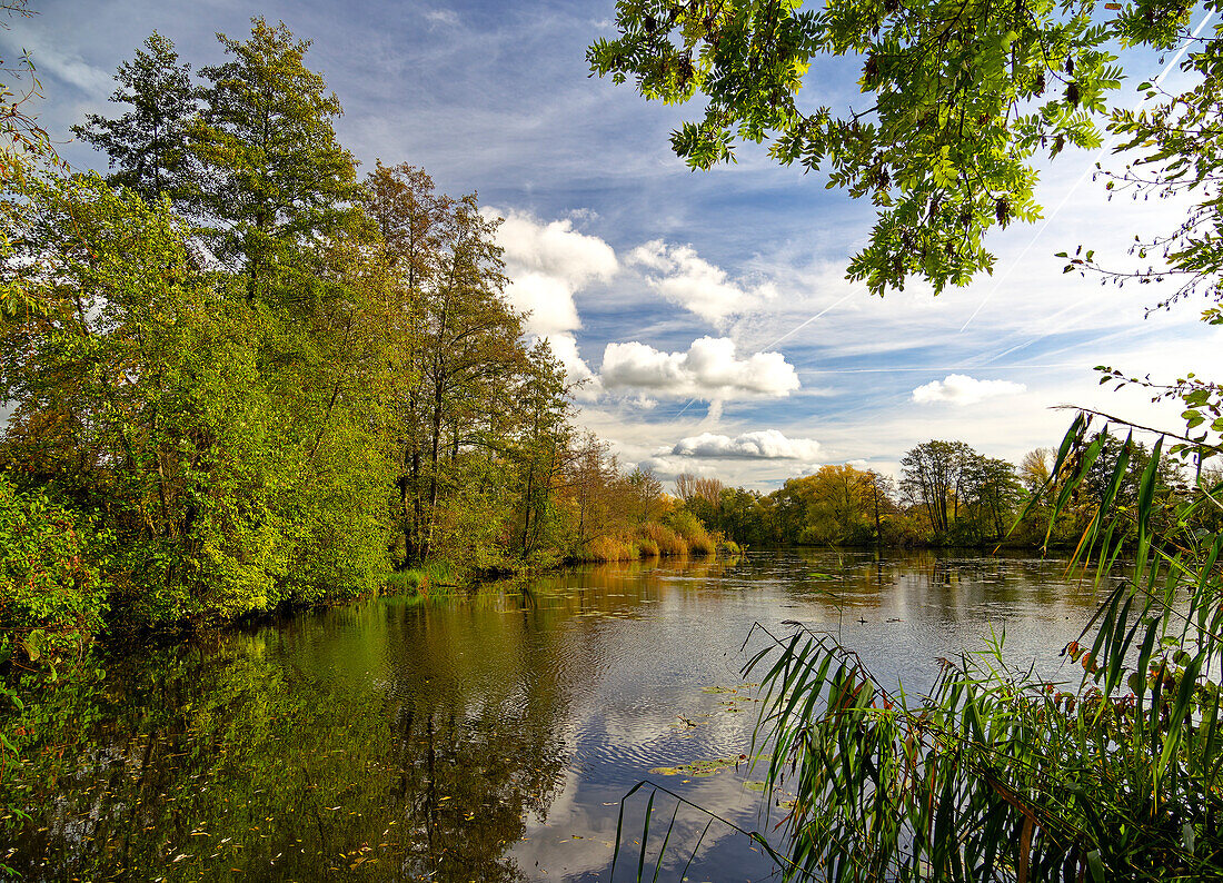 Former quarry lakes on the Main near Grafenrheinfeld, Schweinfurt district, Lower Franconia, Franconia, Bavaria, Germany