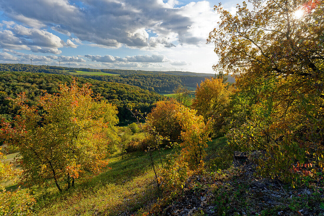 Landscape in the NSG dry areas near Machtilshausen, Bad Kissingen district, Lower Franconia, Franconia, Bavaria, Germany