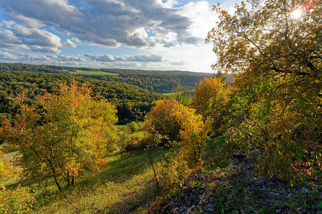 Landschaft im NSG Trockengebiete bei Machtilshausen,  Landkreis Bad Kissingen, Unterfranken, Franken, Bayern, Deutschland