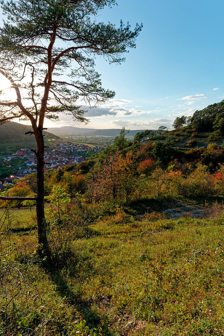 Landschaft im NSG Trockengebiete bei Machtilshausen,  Landkreis Bad Kissingen, Unterfranken, Franken, Bayern, Deutschland