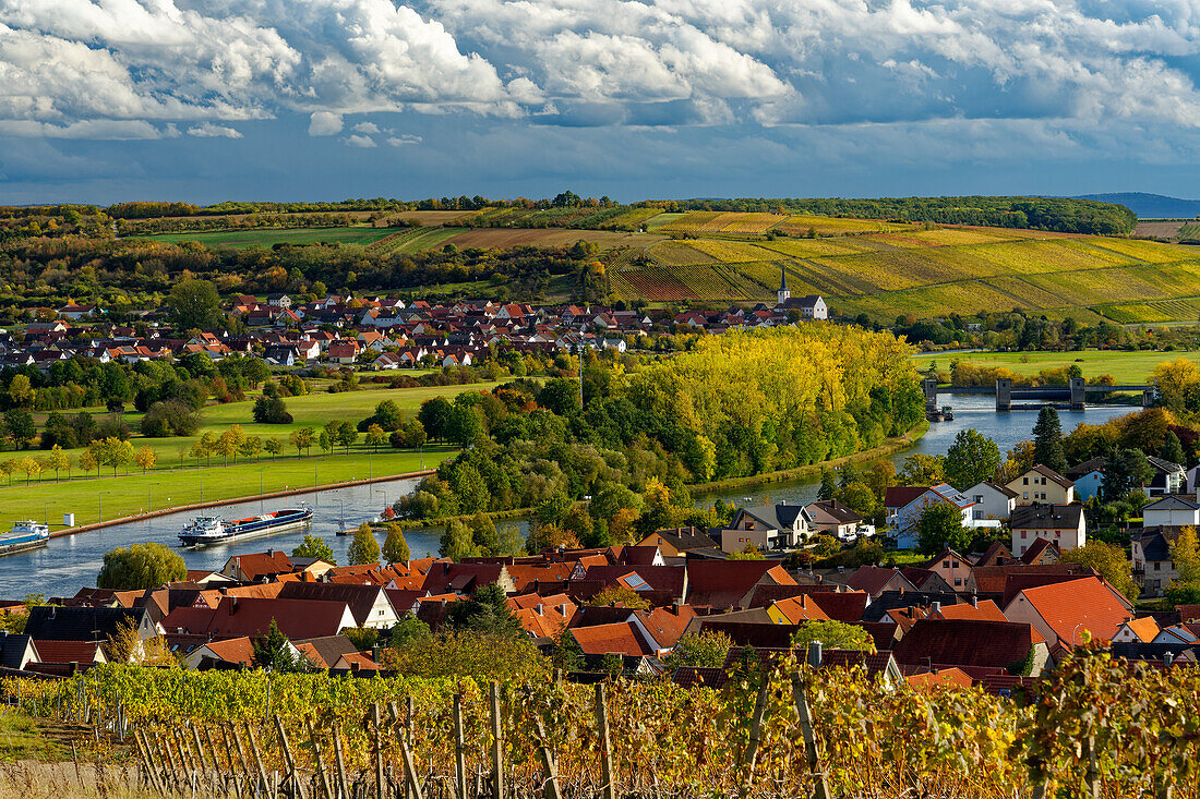 Blick von den Weinbergen bei Wipfeld über den Main zum Weinort Stammheim, Landkreis Schweinfurt, Unterfranken, Franken, Bayern, Deutschland