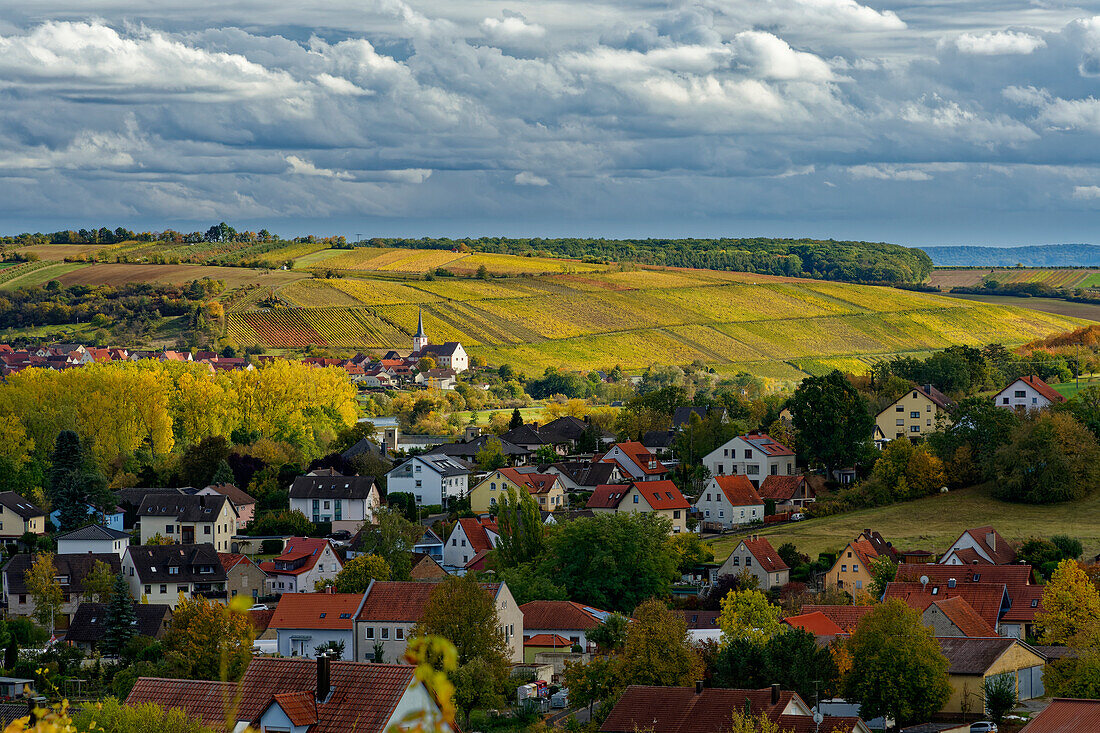 View from the vineyards near Wipfeld over the Main to the wine town of Stammheim and its vineyards, Schweinfurt district, Lower Franconia, Franconia, Bavaria, Germany