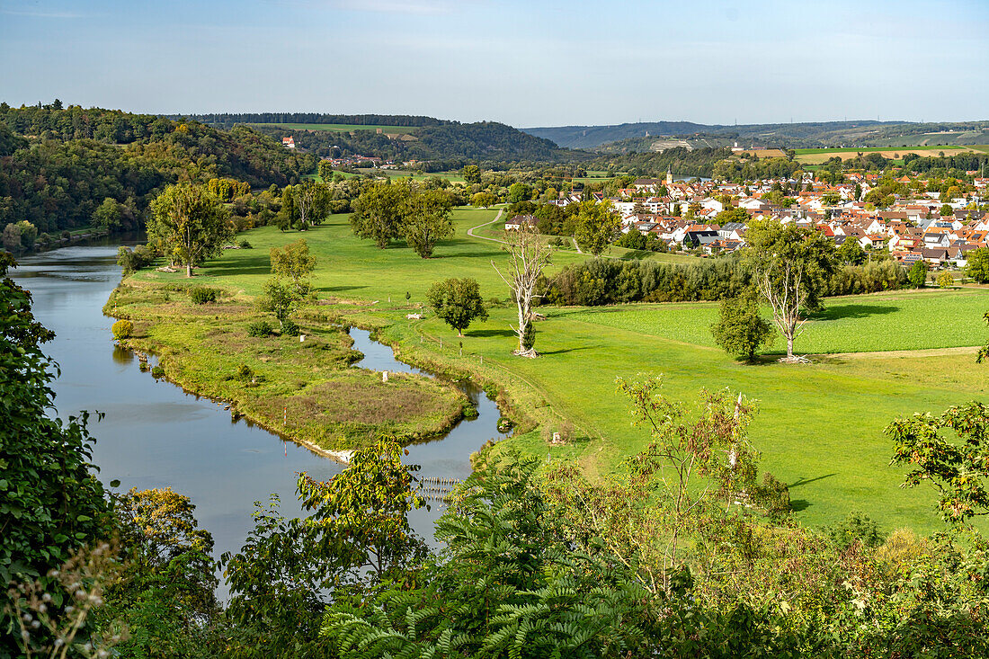 View over the Neckar between Bad Wimpfen and Offenau, Kraichgau, Baden-Württemberg, Germany