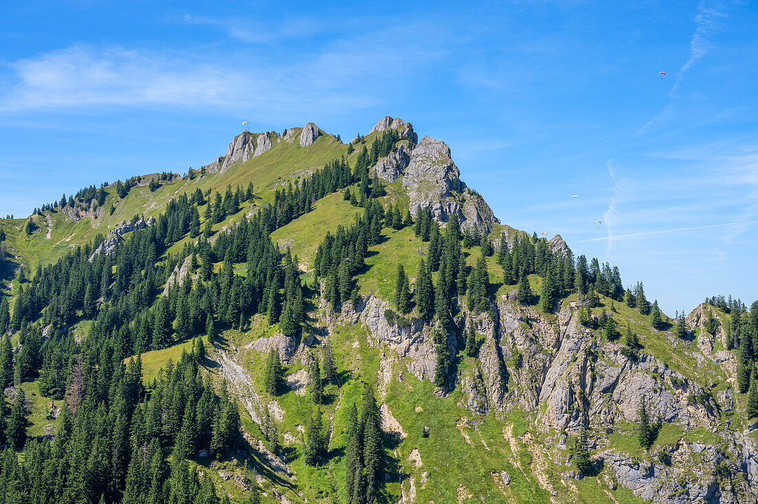 Blick zum Branderschrofen, Ammergauer Alpen, Schwangau, Schwaben, Allgäu, Bayern, Deutschland