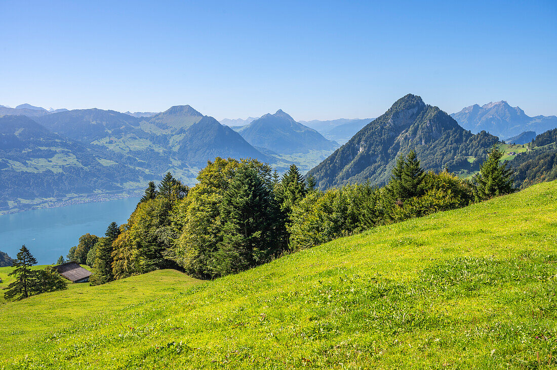 Blick auf Vierwaldstättersee mit Pilatus, Zentralschweizer Voralpen, Schwyz, Schweiz