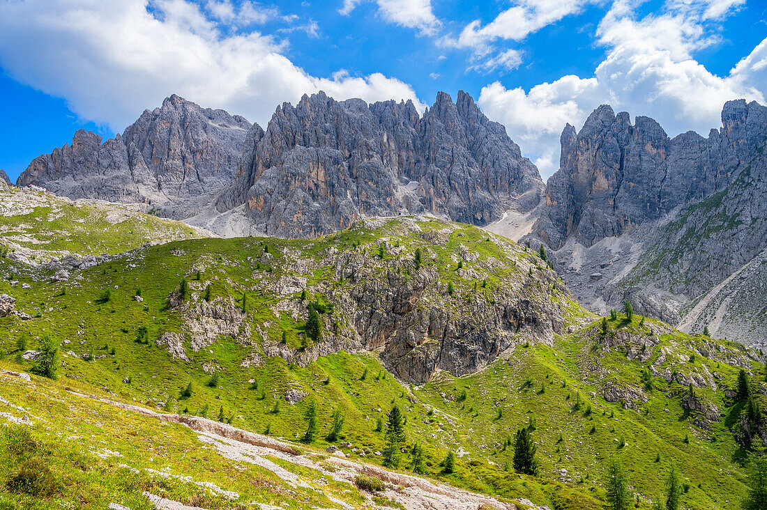 Cadin peaks with the Torre del Diavolo, Province of Belluno, Alto Adige, South Tyrol, Alps, Dolomites, Ampezzo Dolomites Nature Park, Sesto Dolomites, Veneto, Veneto, Italy