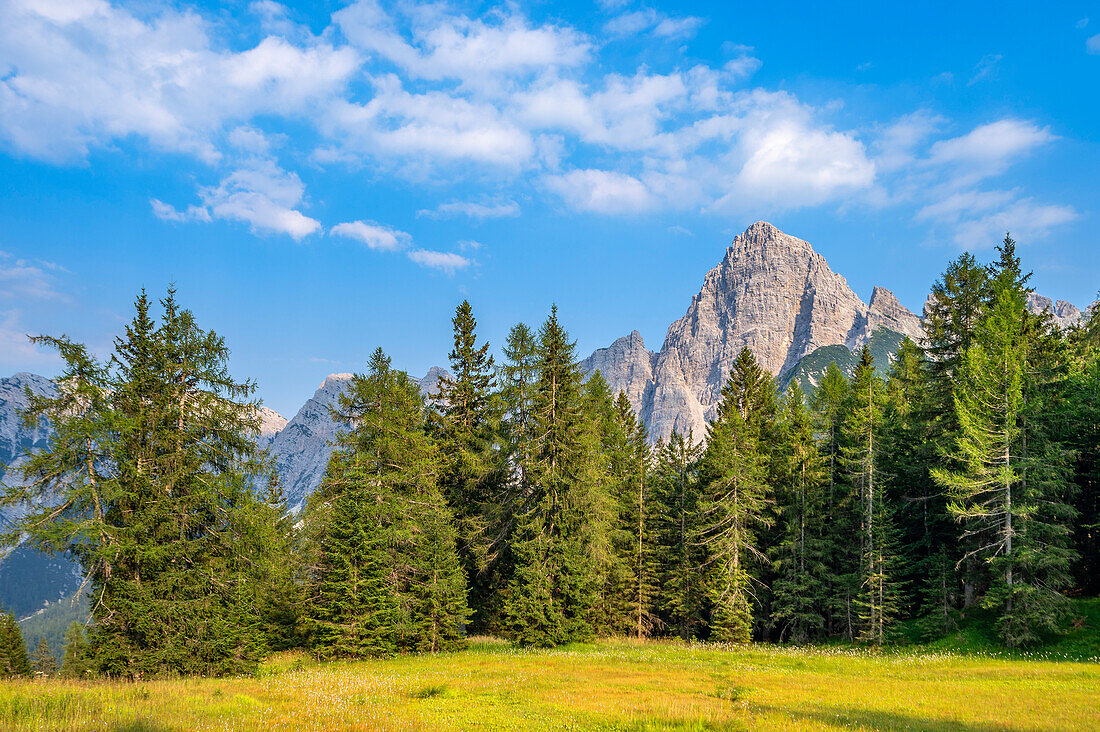 Bosconero group with Sassolungo seen from Passo Cibiana, Province of Belluno, Alto Adige, South Tyrol, Alps, Dolomites, Veneto, Veneto, Italy