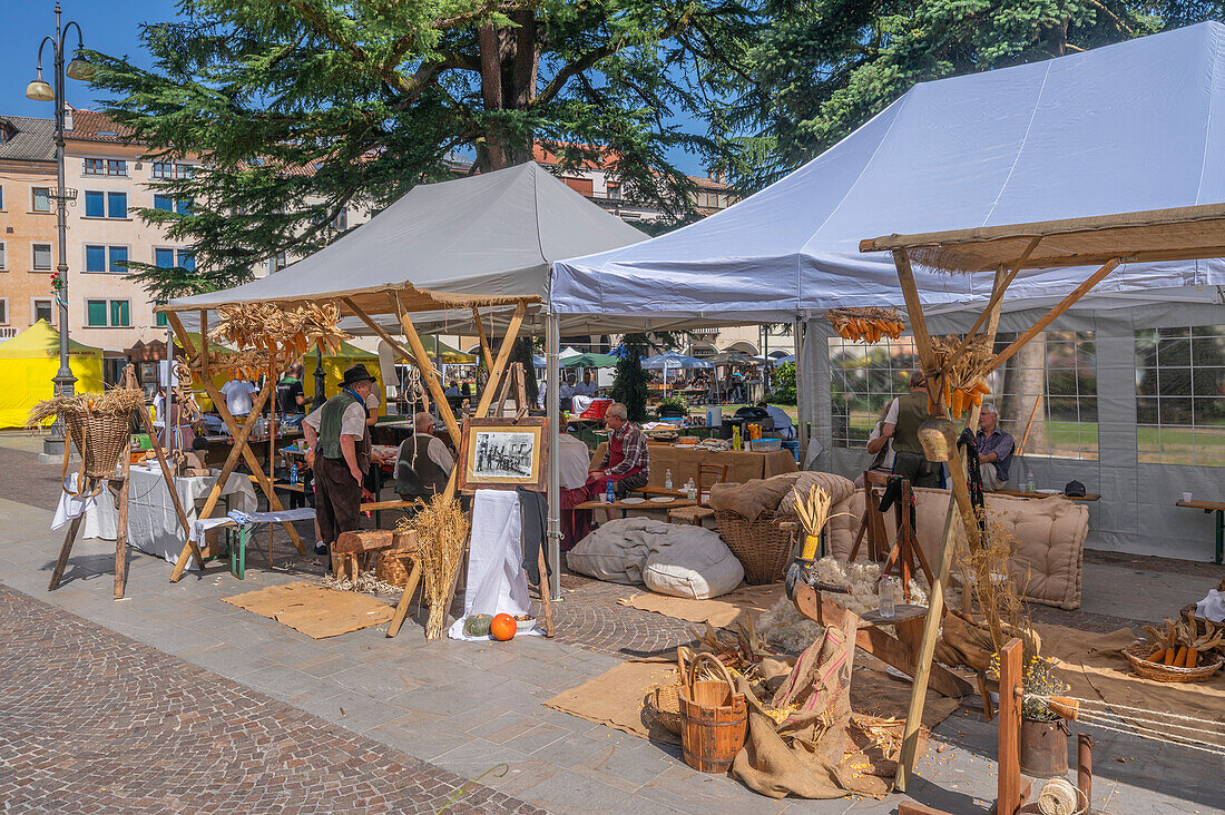 Market on the Piazza dei Martiri in Belluno, Province of Belluno, Alto Adige, South Tyrol, Alps, Dolomites, Veneto, Veneto, Italy