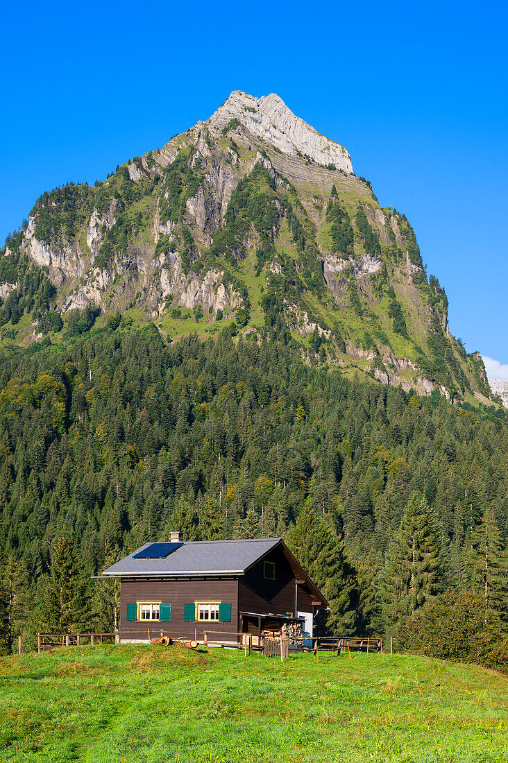 Alp Ahornen mit dem Brünnelistock in der Oberseegruppe, Glarner Alpen, Glarus, Schweiz