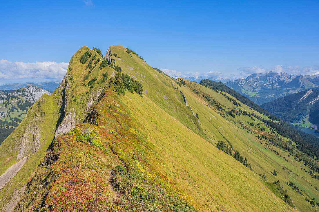 View to Tierberg, Oberseegruppe, Glarus Alps, Glarus, Switzerland