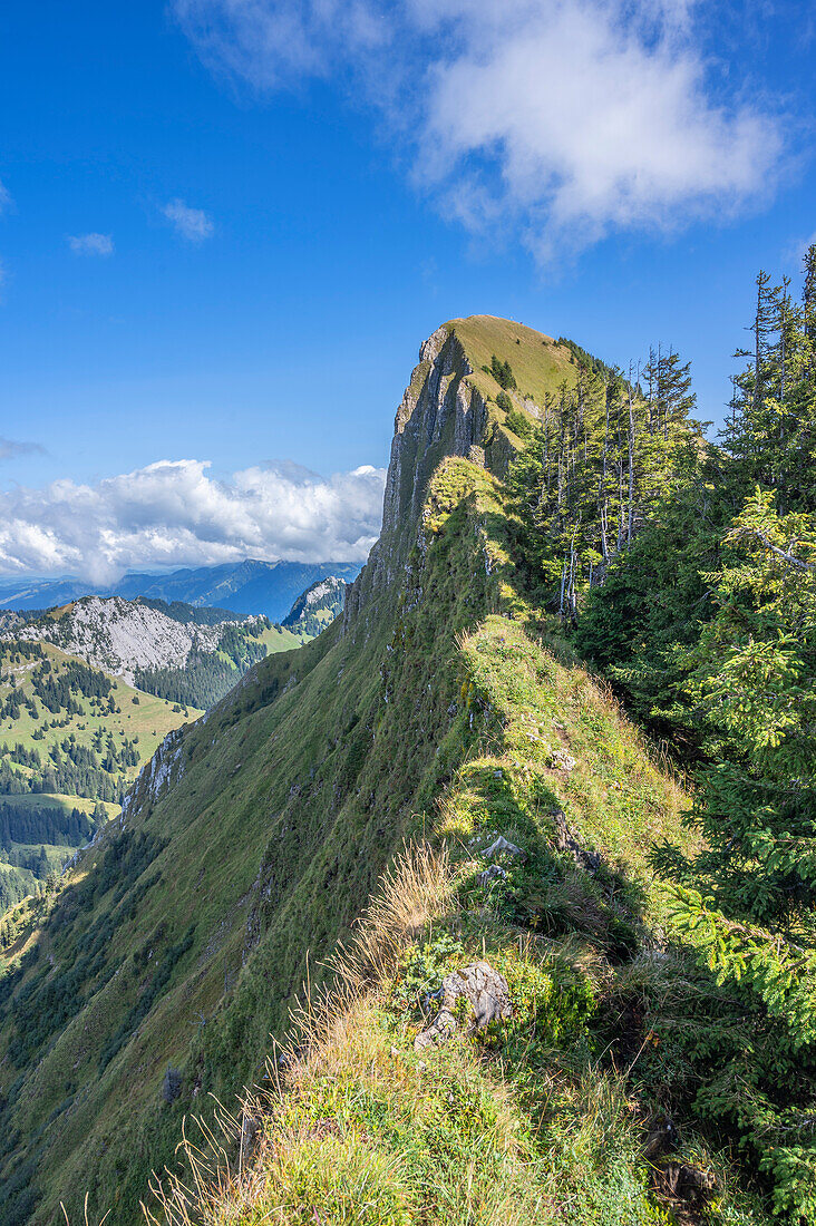 View to Tierberg, Oberseegruppe, Glarus Alps, Glarus, Switzerland