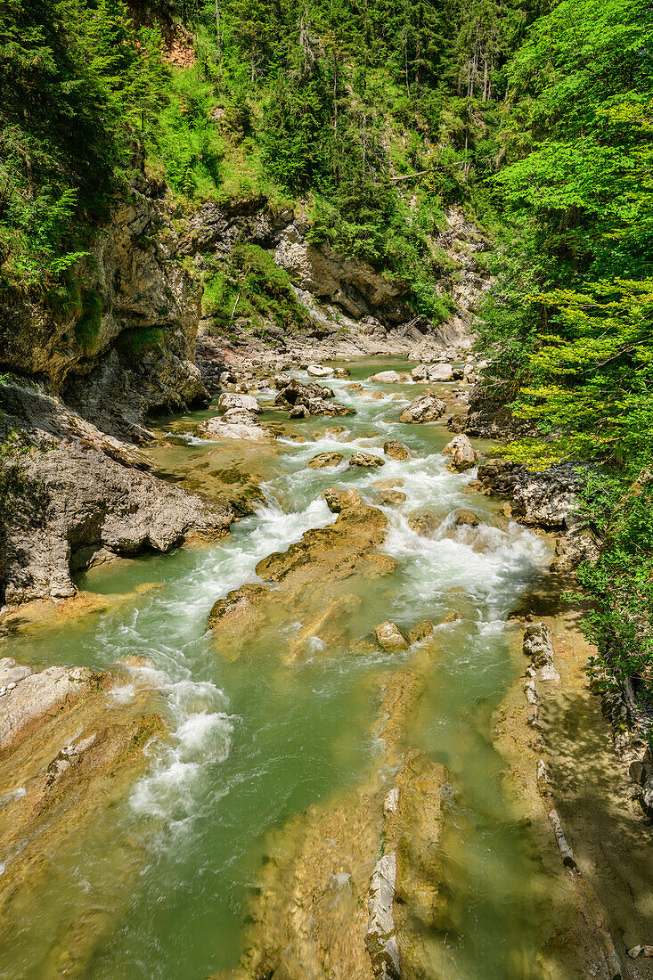Brandenberger Ache fließt über Felsstufen, Tiefenbachklamm, Brandenberger Ache, Rofan, Tirol, Österreich