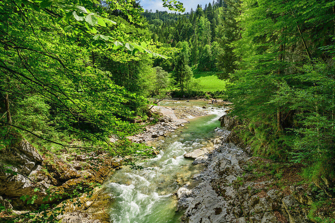 Bergbach mündet in die Brandenberger Ache, Tiefenbachklamm, Rofan, Tirol, Österreich