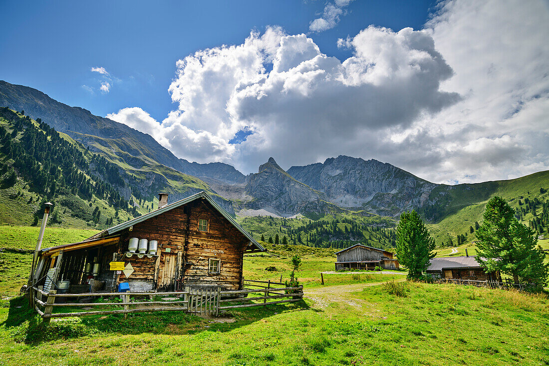 Elsalm alpine pasture buildings with Zillertal Alps in the background, Elsalm, Tux Valley, Zillertal Alps, Tyrol, Austria