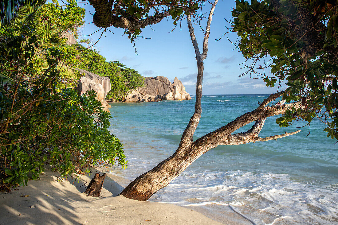  Dream beach Anse Source d&#39;Argent, La Digue, Seychelles 