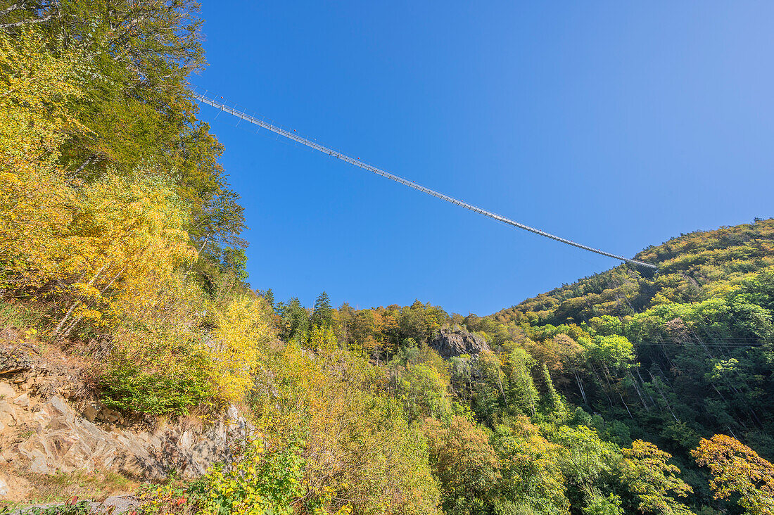  Blackforestline suspension bridge at Todtnau Waterfalls, Todtnau, Black Forest, Baden-Württemberg, Germany 