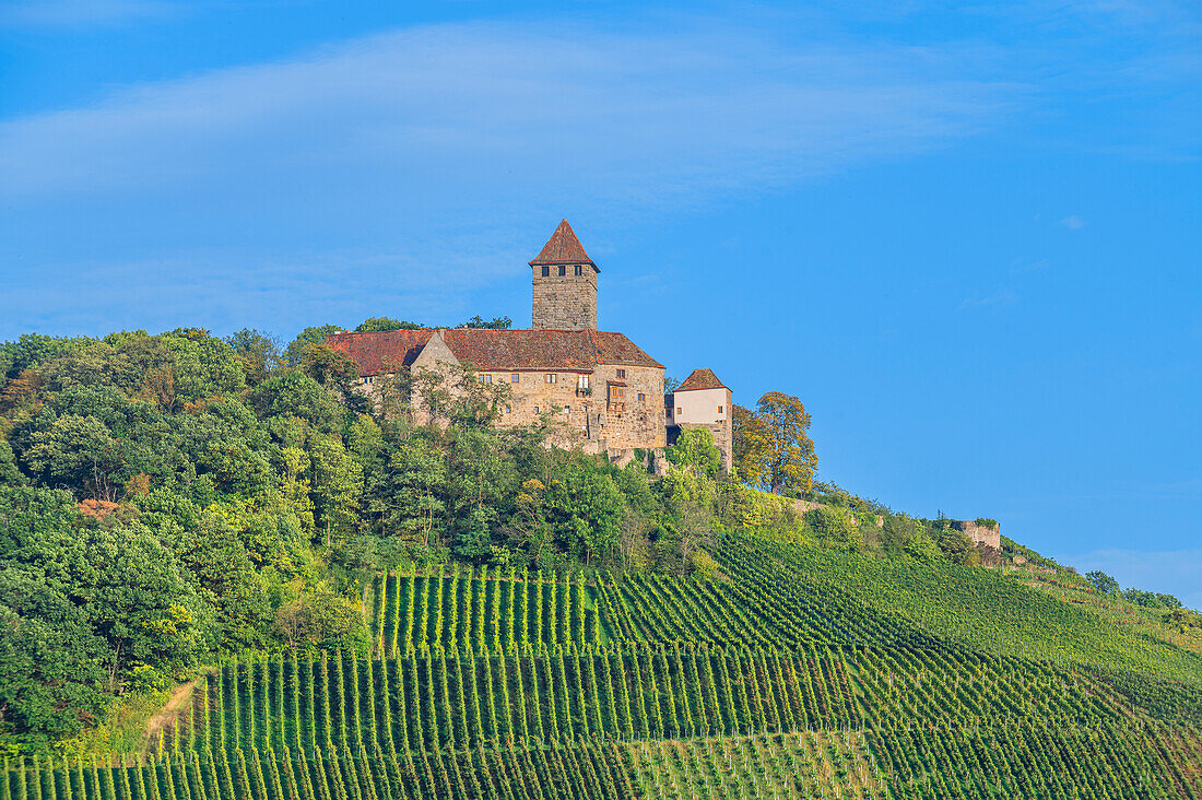  Lichtenberg Castle near Oberstefeld, Neckar, Neckartal, Württemberg Wine Route, Baden-Württemberg, Germany 