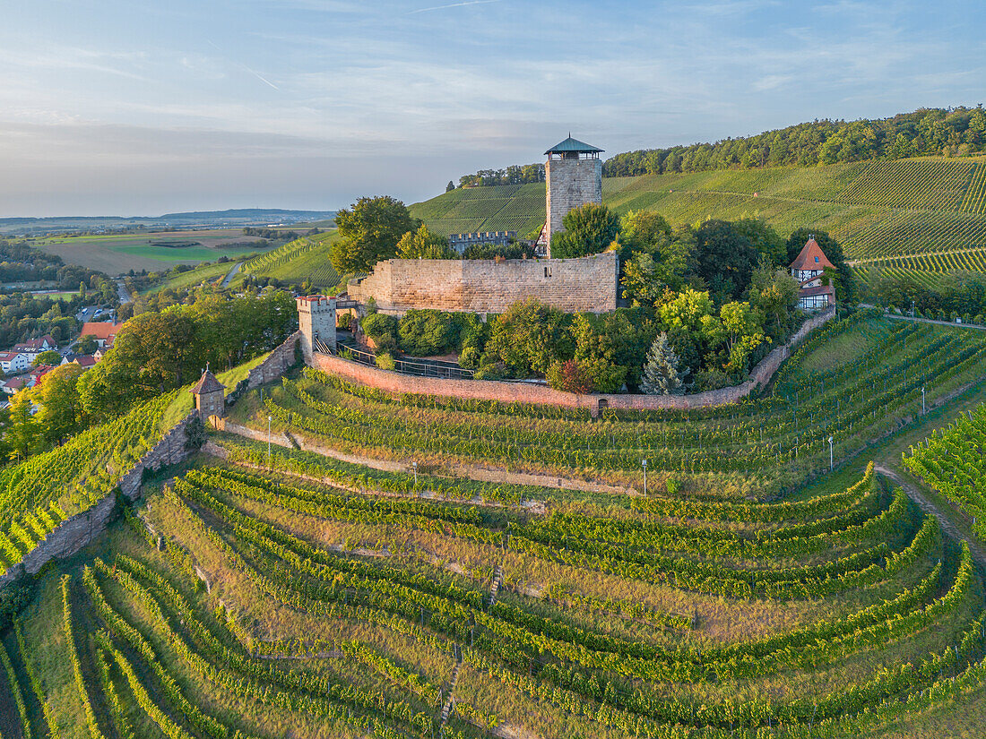 Luftaufnahme der Burg und Falknerei Hohenbeilstein am Abend, Beilstein, Neckartal, Württembergische Weinstrasse, Baden-Württemberg, Deutschland
