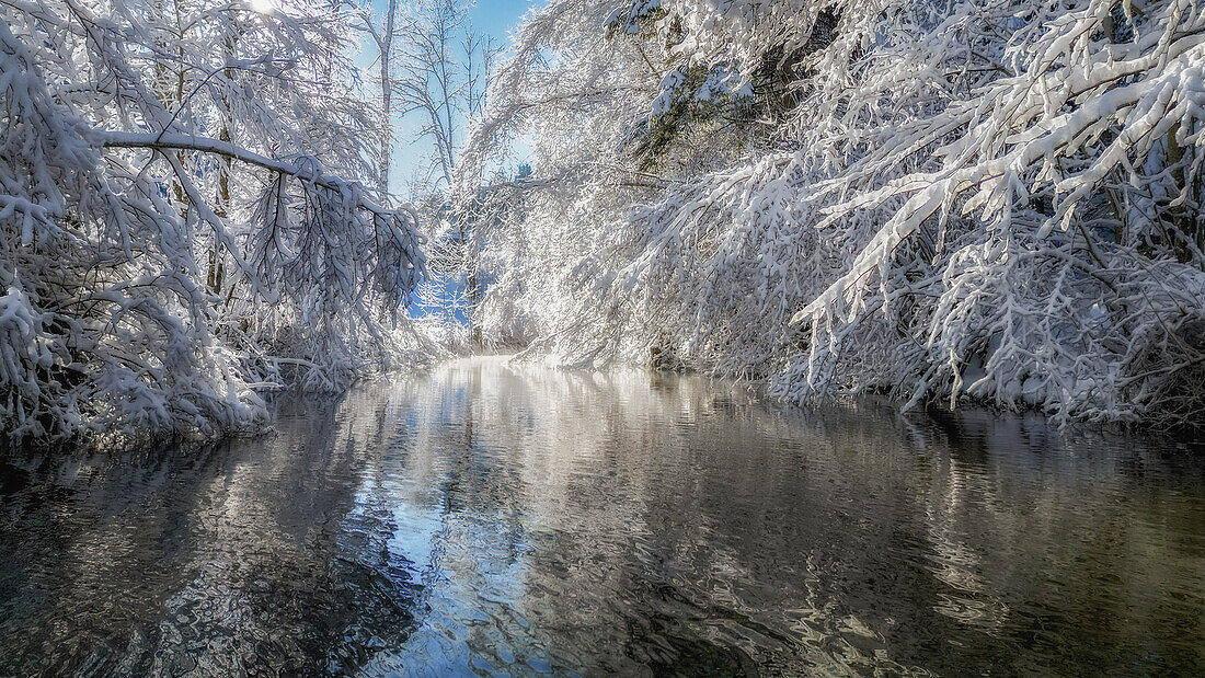  Winter atmosphere on the Lorze, Unterägeri, Zug, Switzerland 