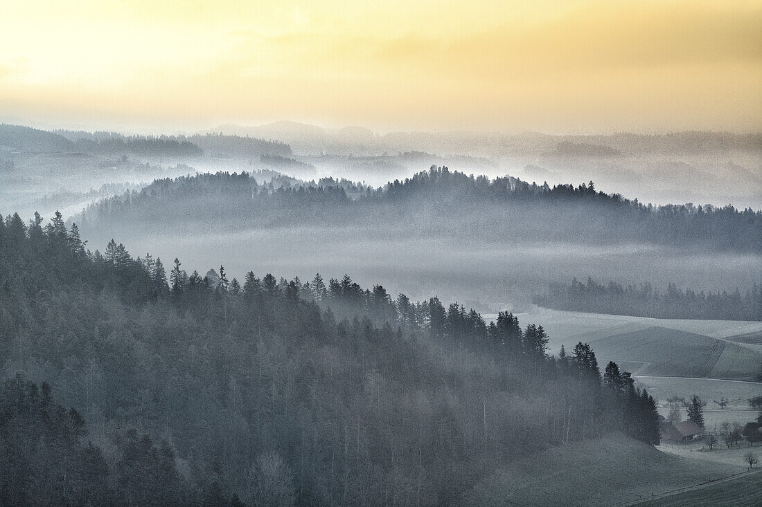 Nebel am Morgen über Wald, Morgenstimmung im Emmental, Kanton Bern, Schweiz