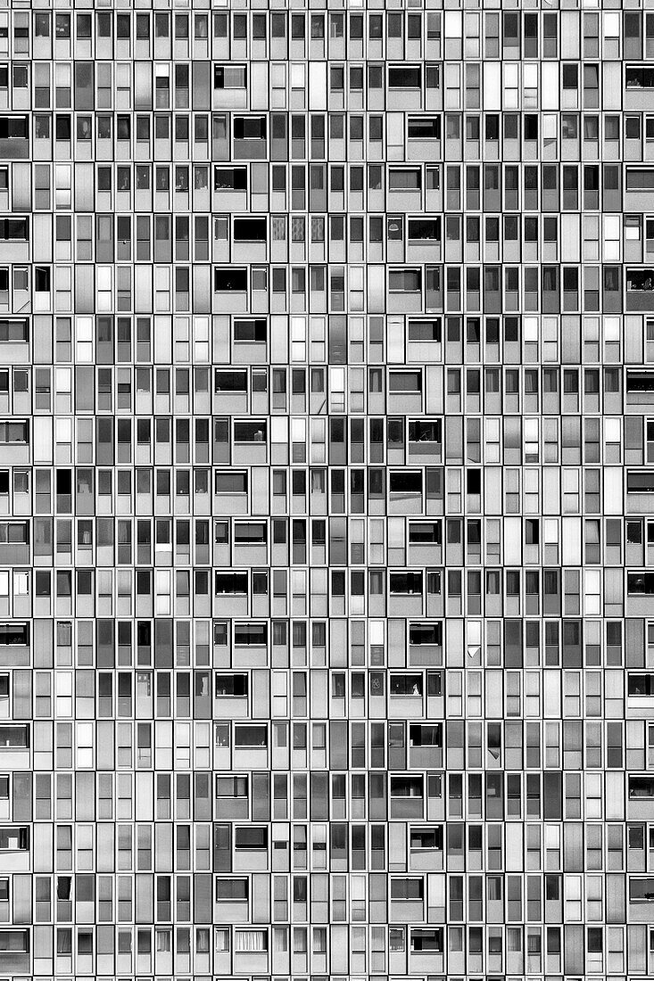 Facade of a high-rise building and many windows in black and white