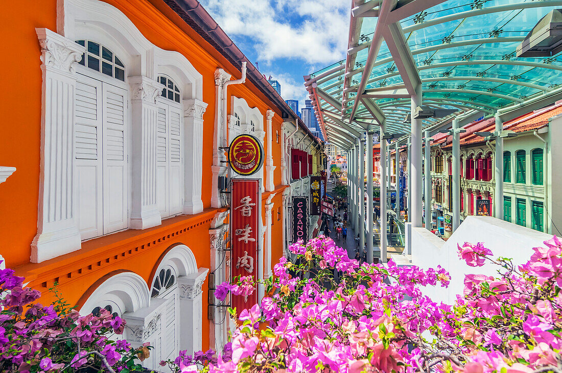  Streets in the Chinatown district, Singapore, Asia 