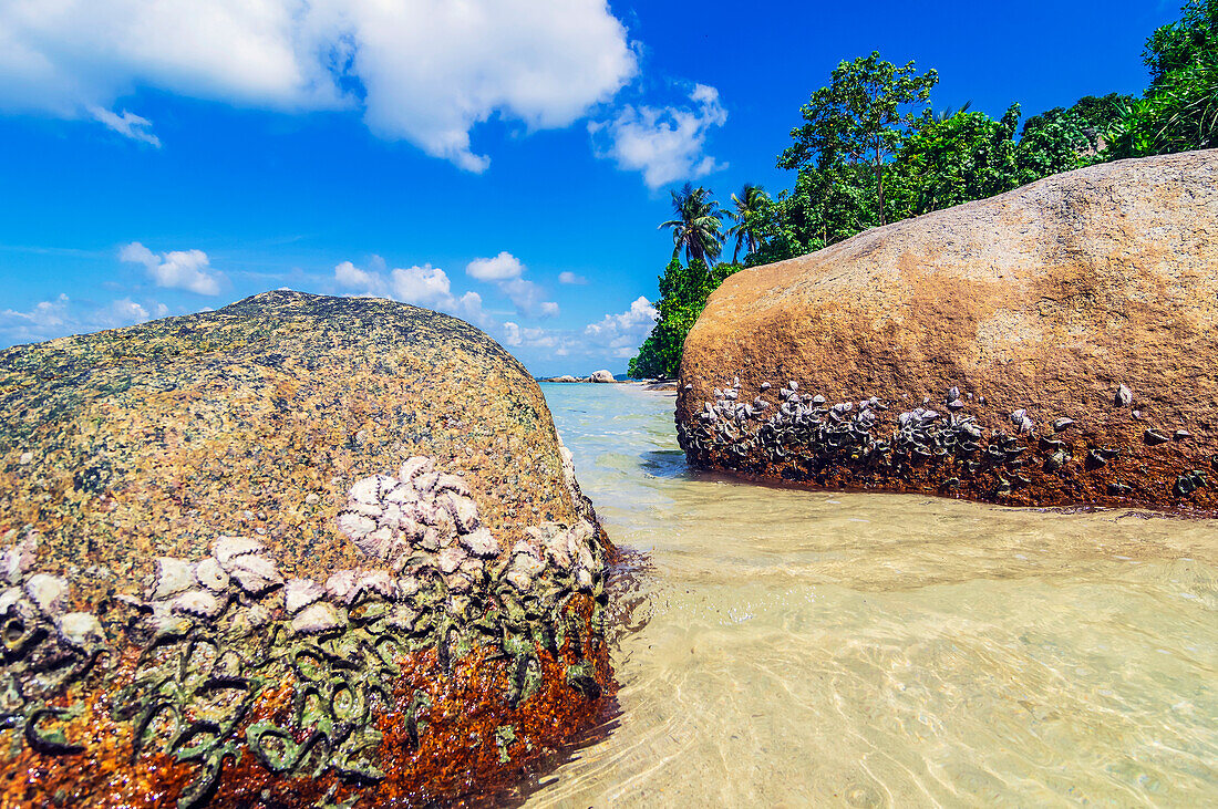 Felsen am Strand auf einer Insel in der Nähe von Bintan, Riau-Archipel, Indonesien, Südostasien