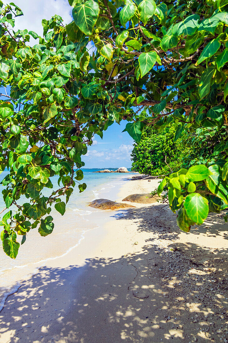 Einsamer Strand auf einer Insel in der Nähe von Bintan, Riau-Archipel, Indonesien, Südostasien