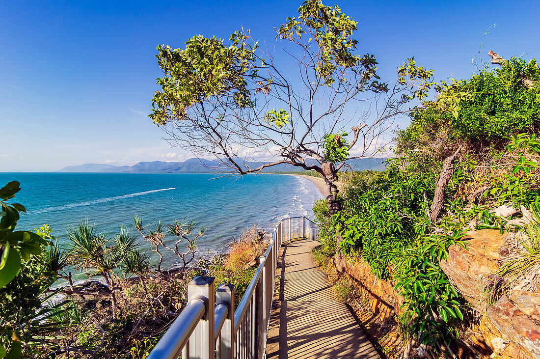 Weg und Blick zur Bucht Four Mile Beach, Port Douglas, Korallenmeer, Queensland, Australien