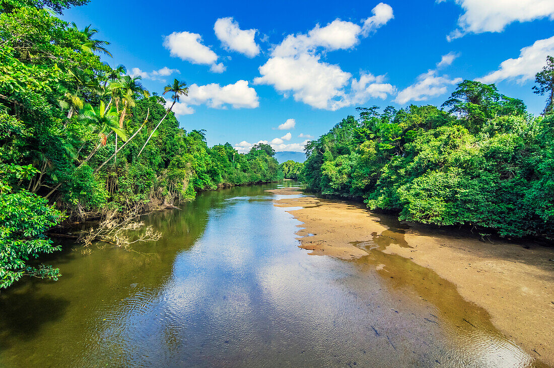 Mangrovenlandschaft am Danitree River, Queensland, Australien
