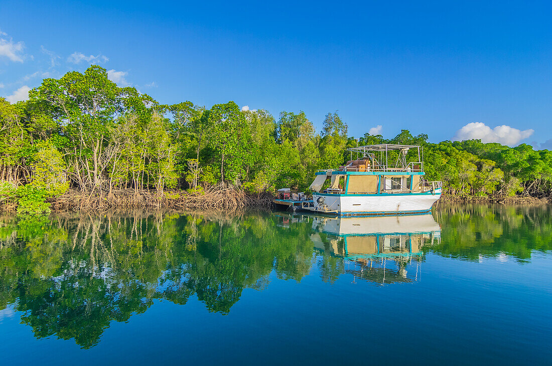 Mangrovenlandschaft am Packers Creek, Port Douglas, Queensland, Australien