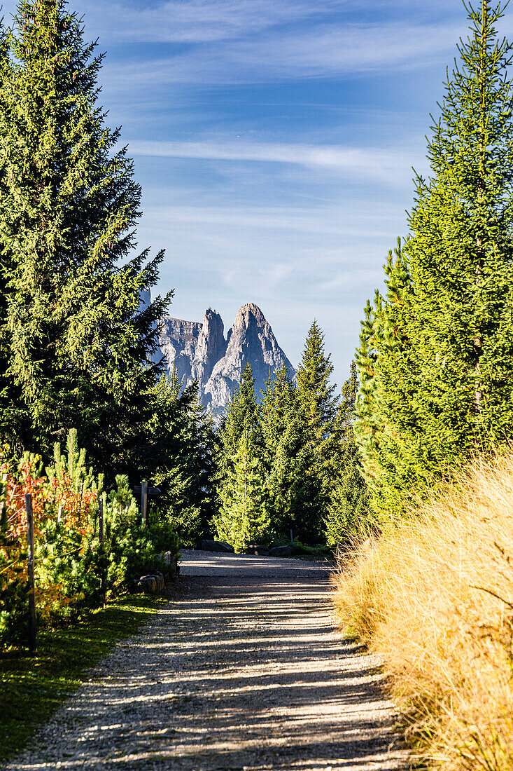  Summery autumn day on the Seiser Alm 