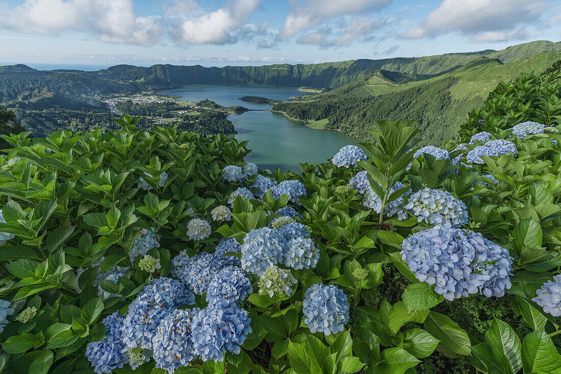 Ausblick vom Miradouro da Vista do Rei auf die Kraterseen Lagoa Azul und Lagoa Verde mit Hortensien im Vordergrund auf Azoren Insel Sao Miguel