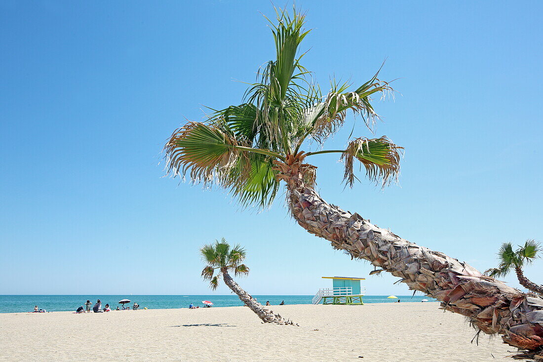 Sandstrand mit Hütten von Rettungsschwimmern in Port Barcarès, bei Perpignan, Département Pyrénées-Orientales, Region Okzitanien, Frankreich