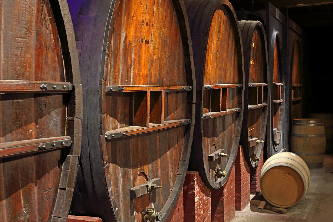 Weinfässer des Sekts 'Blanquette de Limoux', Weinkellerei Maison Guinot,  Limoux, Nähe Carcassonne, Département Aude, Okzitanien, Frankreich