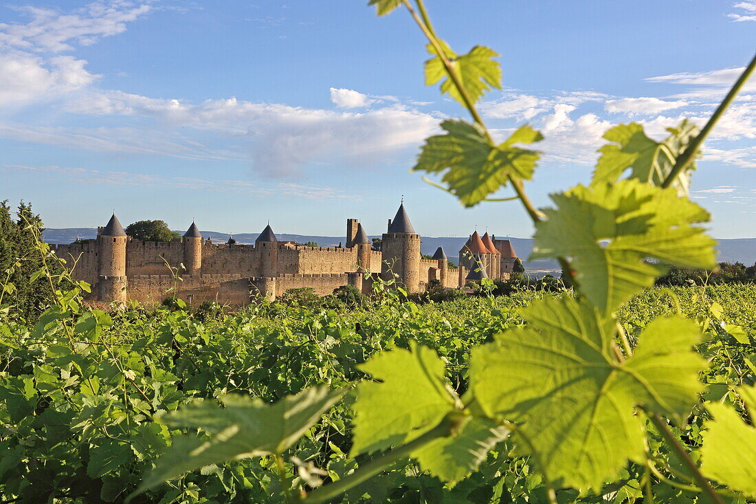  Medieval city walls of the Cité de Carcassonne, Aude department, Occitanie, France 