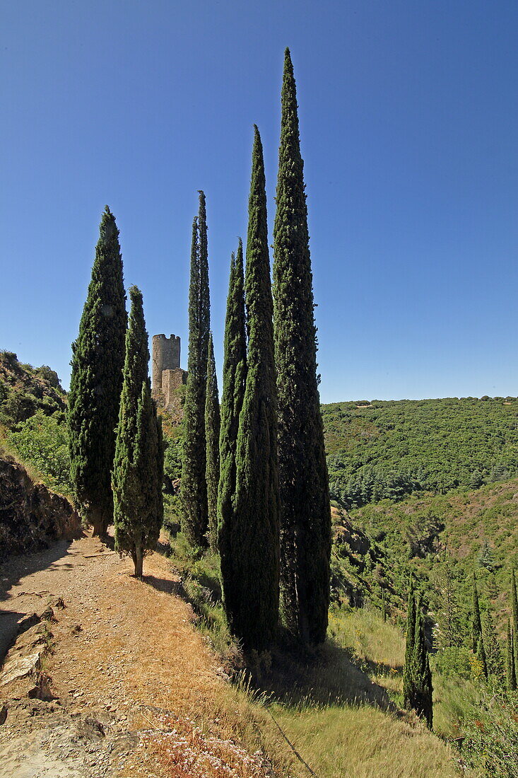  Chateau Quertinheux, Lastours, Montagne Noire, Occitanie, France 