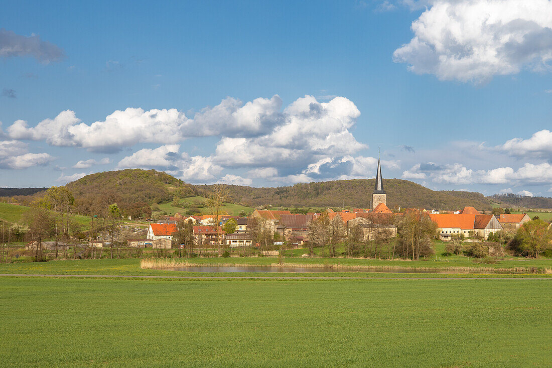  Spring in the Steigerwald, Oberscheinfeld, Neustadt an der Aisch, Lower Franconia, Franconia, Bavaria, Germany, Europe 