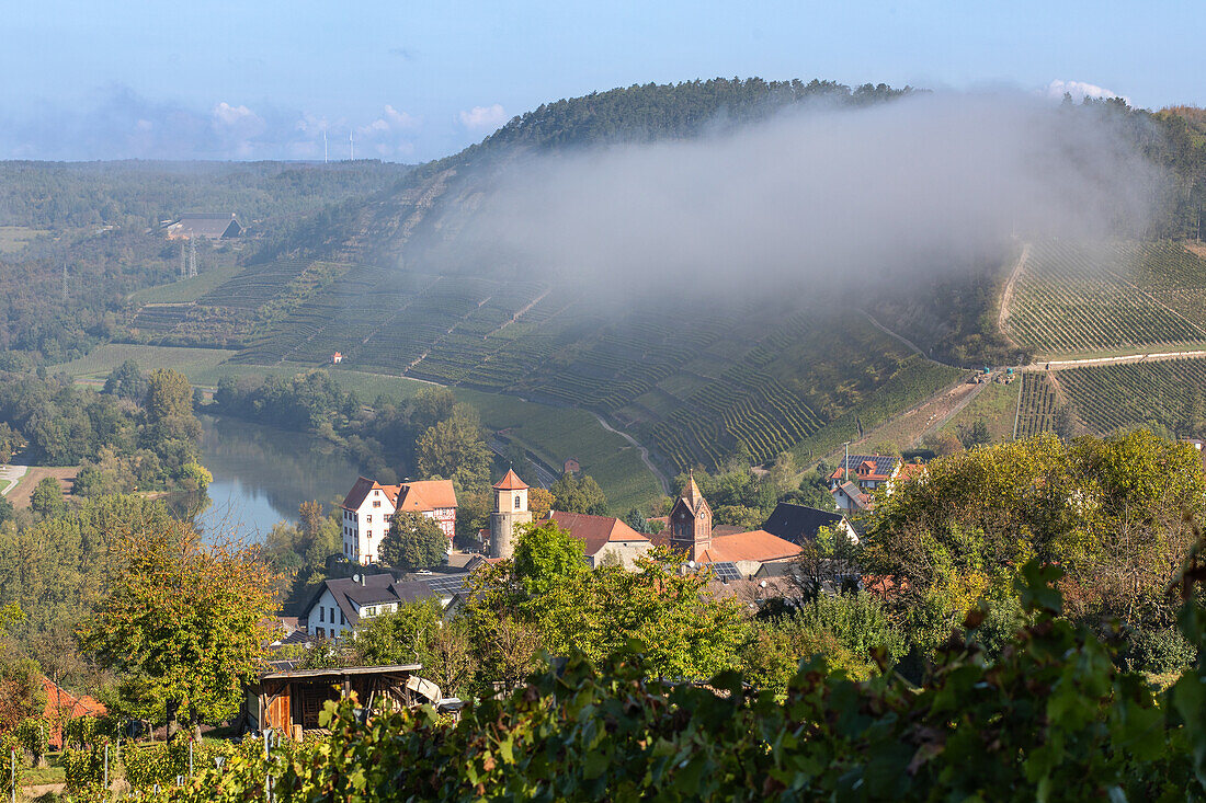  Morning near Homburg, Triefenstein, Main-Spessart, Lower Franconia, Franconia, Bavaria, Germany, Europe 