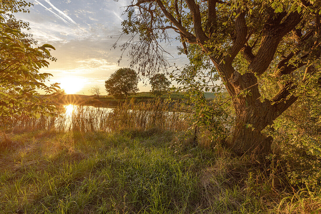 Sonnenuntergang im Osing, Rüdisbronn, Neustadt an der Aisch, Unterfranken, Franken, Bayern, Deutschland, Europa