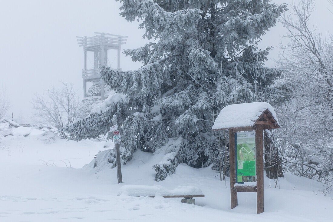 Nebelstimmung am Backöfele, Schneeberg, Bischofsgrün, Fichtelgebirge, Oberfranken, Franken, Bayern, Deutschland, Europa