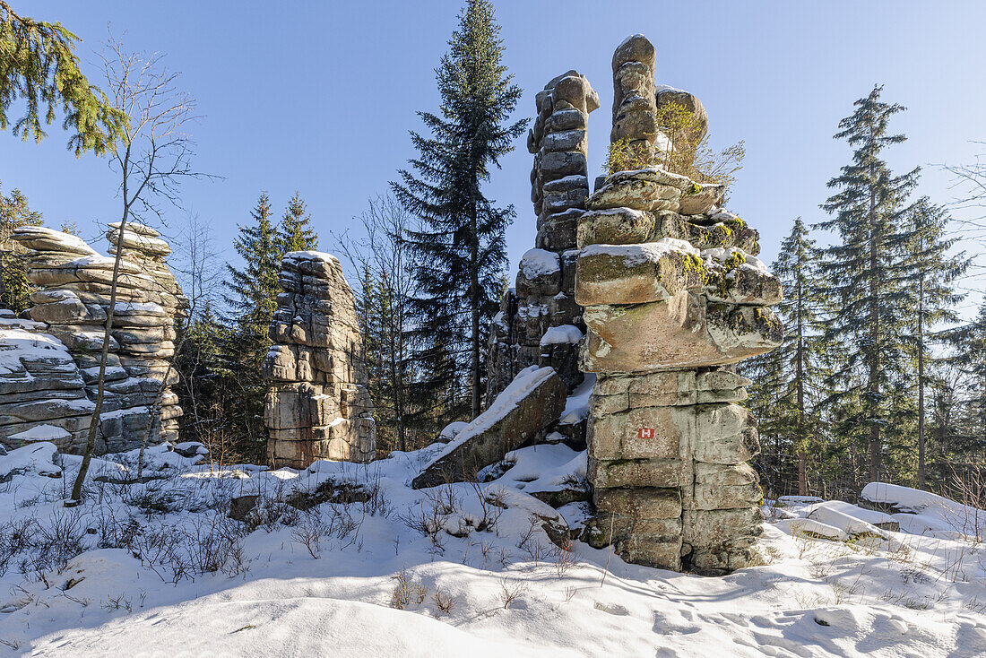 Granitfelsen im Fichtelgebirge, Rudolphstein, Weißenstadt, Schneeberg, Oberfranken, Franken, Bayern, Deutschland, Europa